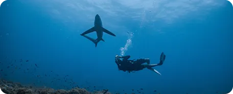 Monad Shoal, Malapascua